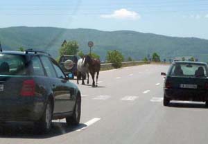 Provoz na bulharské dálnici